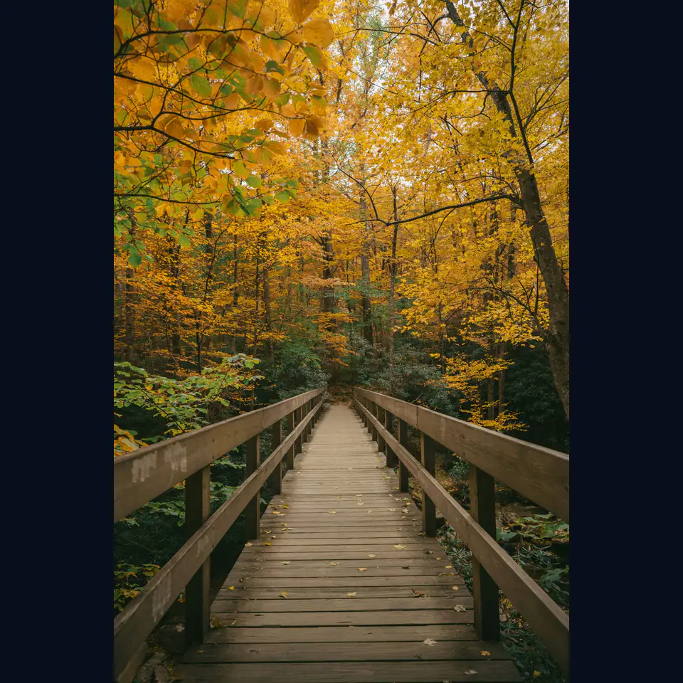 Autumn walkway before the configured resize